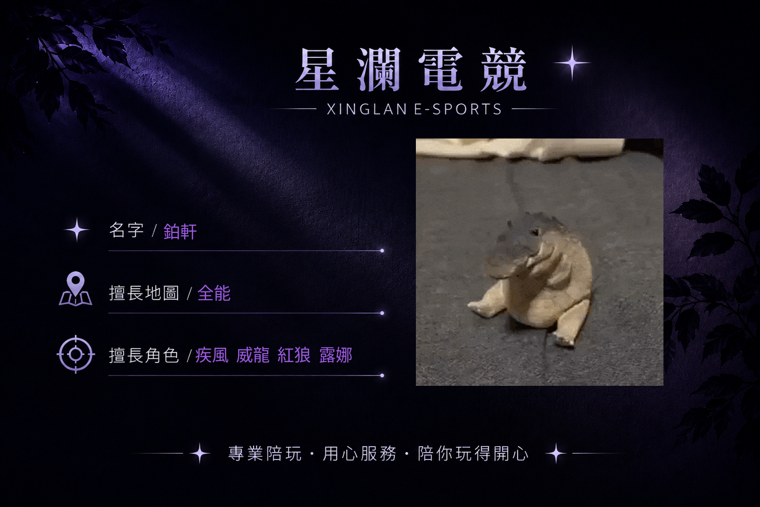 鉑軒 男陪自介